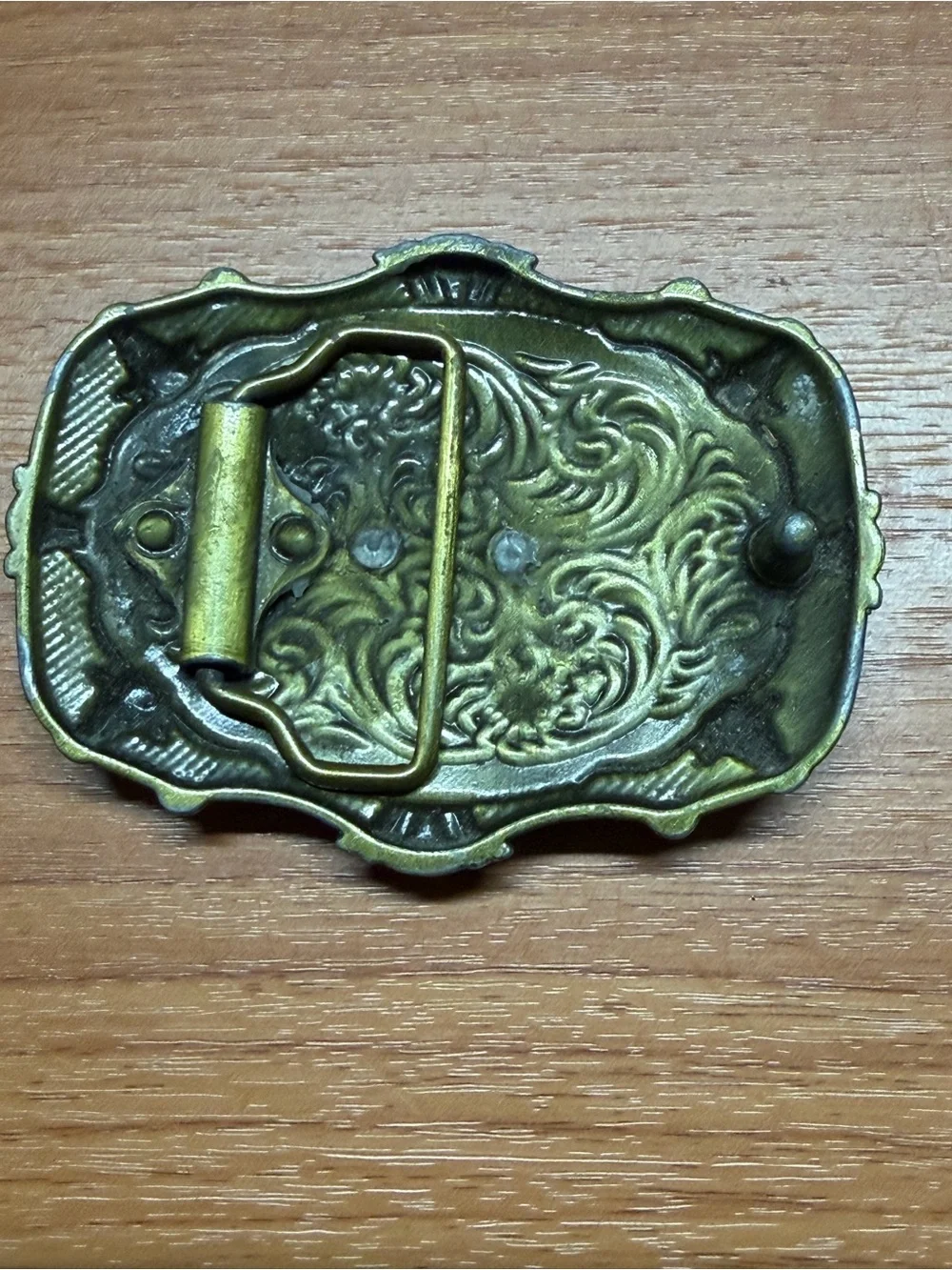 Source Unknown Brass-Tone Western Longhorn Belt Buckle - Gold and Brown